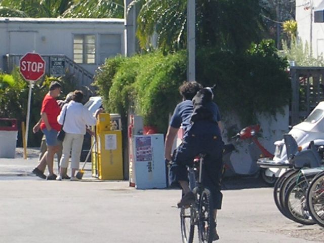 PICT0020.JPG