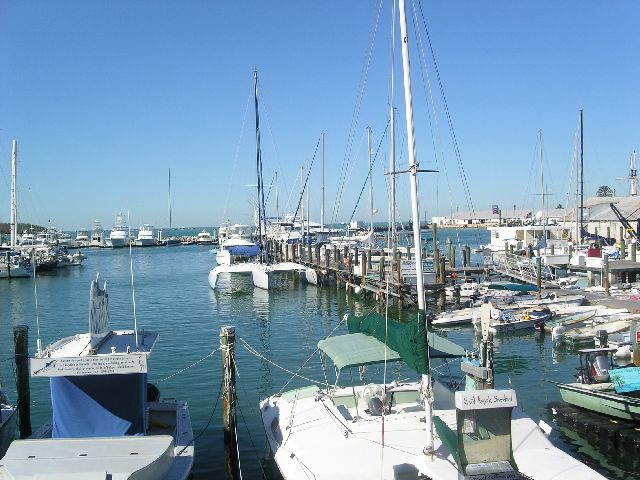 PICT0033.JPG