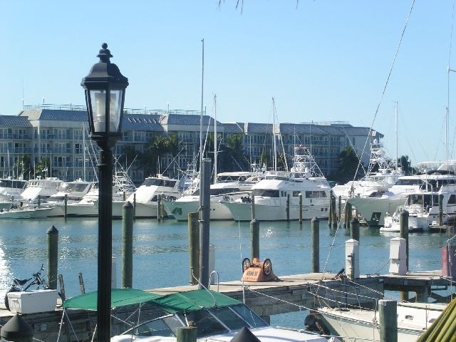 PICT0034.JPG