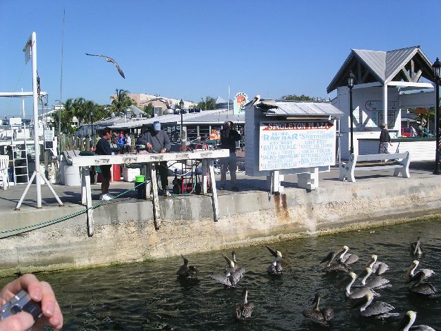 PICT0037.JPG