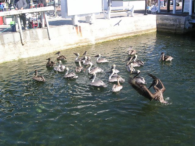 PICT0038.JPG