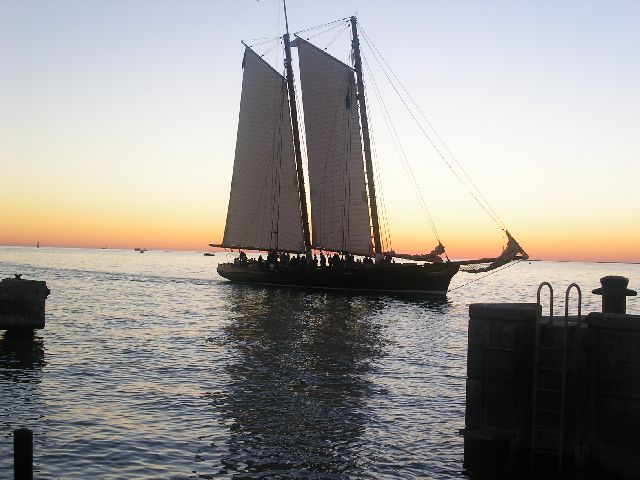 PICT0084.JPG