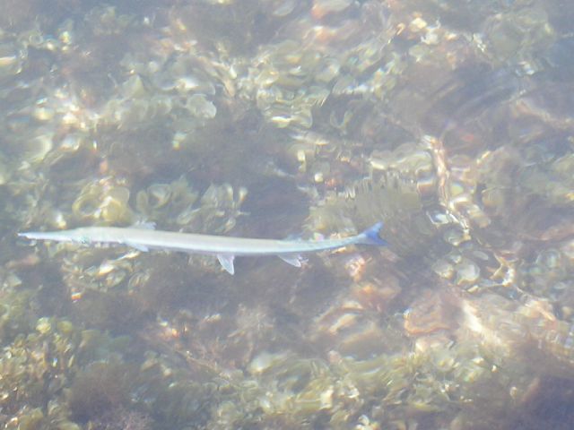 PICT0090.JPG