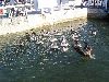 PICT0038.JPG
