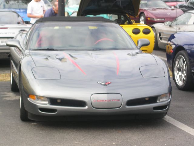 PICT0029.JPG