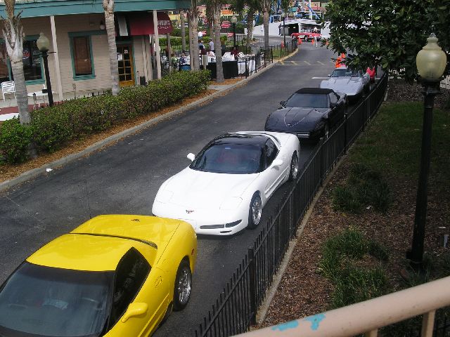 PICT0031.JPG