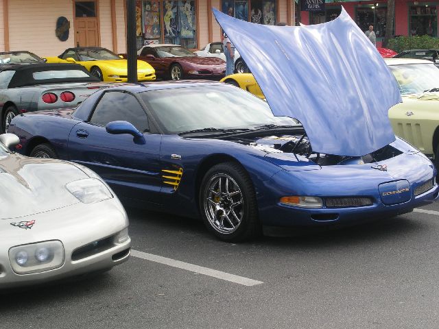 PICT0040.JPG