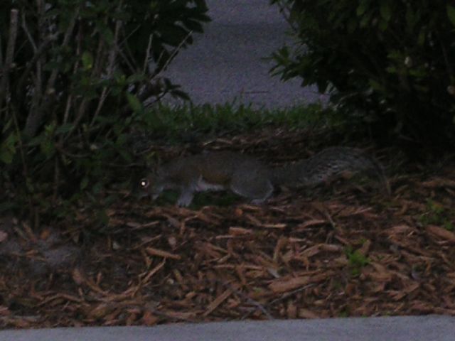 PICT0008.JPG