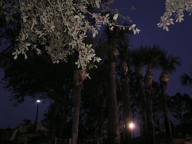 PICT0022.JPG
