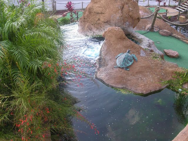 PICT0090.JPG