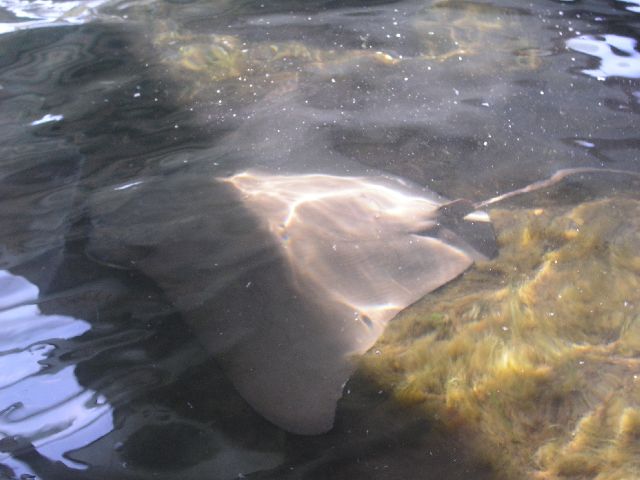 PICT0008.JPG