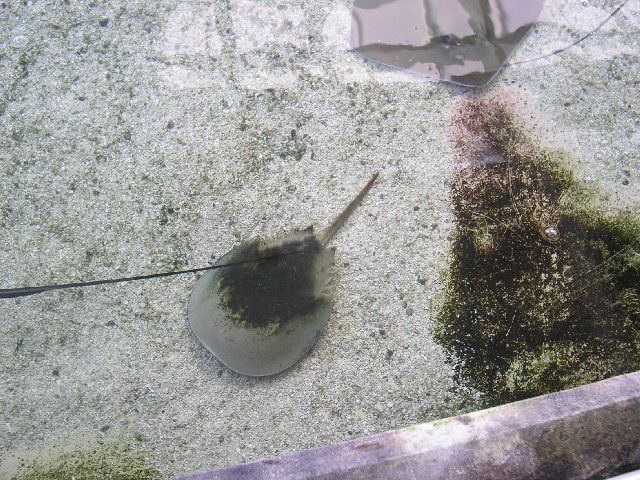 PICT0012.JPG