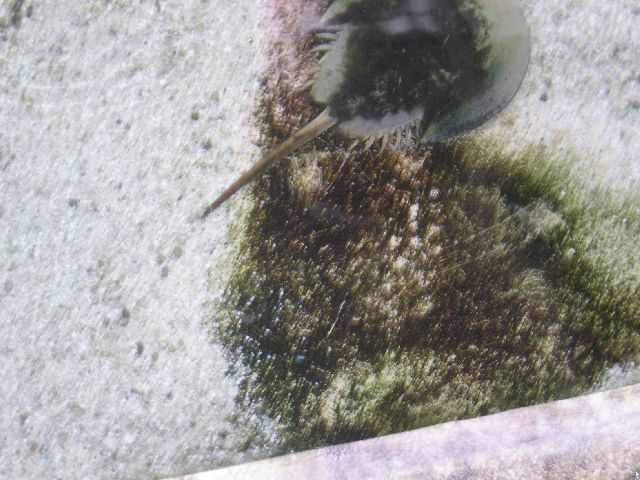 PICT0014.JPG