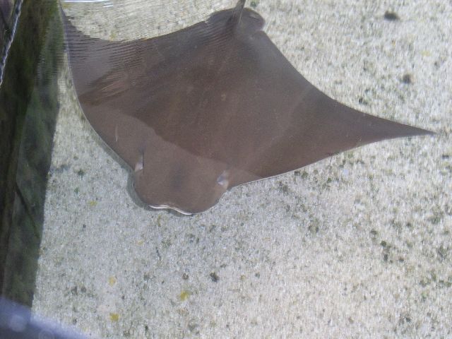 PICT0015.JPG