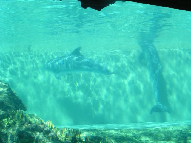PICT0025.JPG
