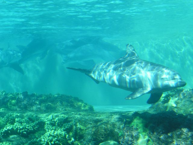 PICT0026.JPG