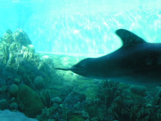 PICT0028.JPG