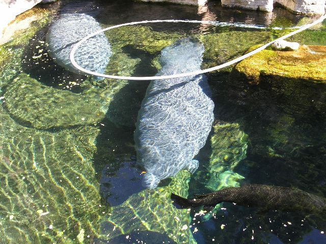 PICT0030.JPG