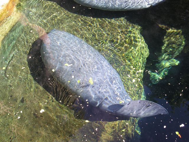 PICT0031.JPG