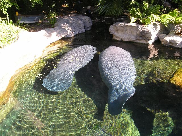 PICT0032.JPG