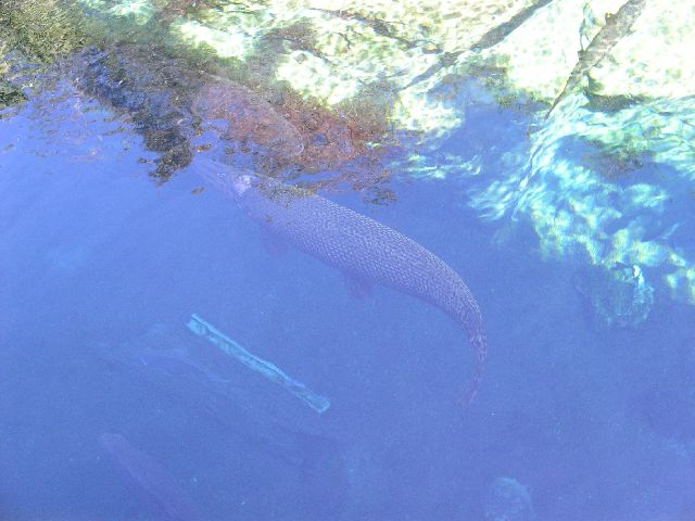 PICT0035.JPG