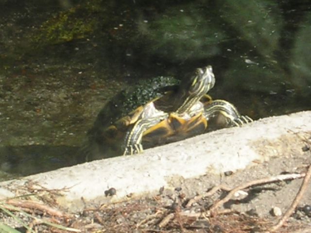 PICT0047.JPG