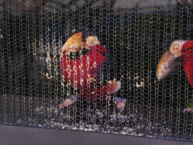 PICT0051.JPG