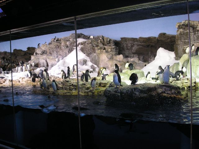 PICT0054.JPG
