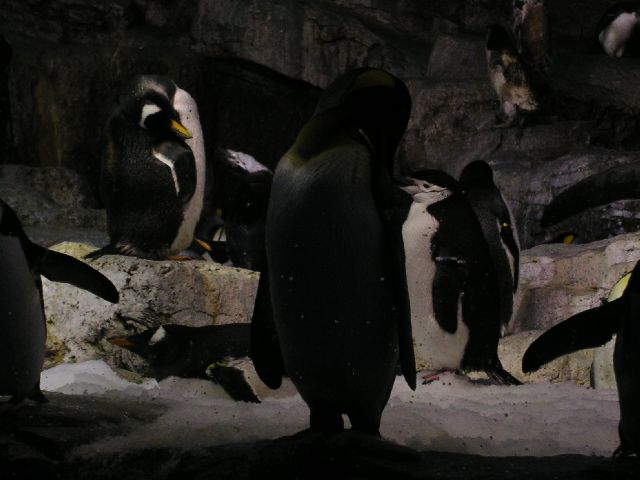 PICT0057.JPG