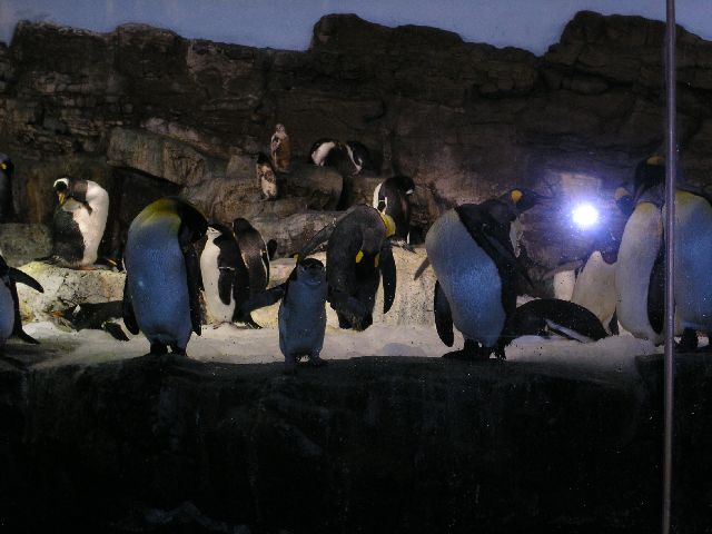 PICT0058.JPG