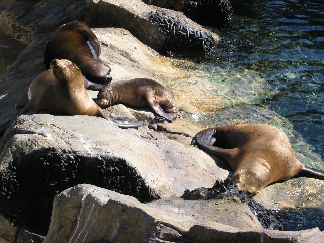 PICT0067.JPG