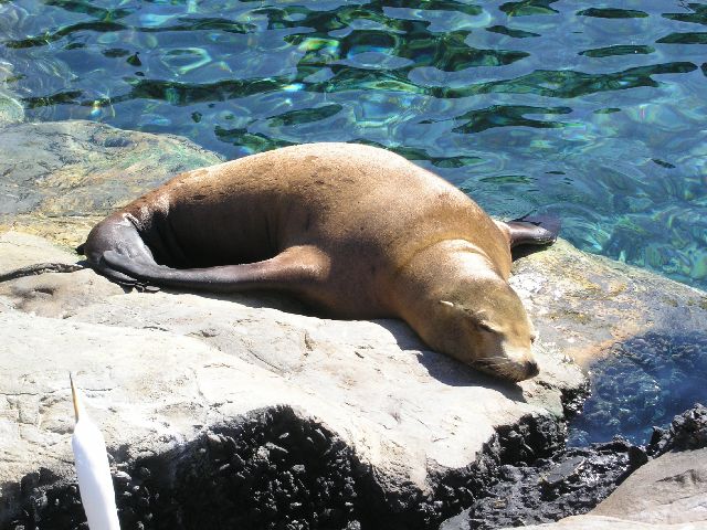 PICT0068.JPG