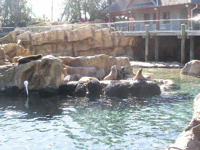 PICT0069.JPG