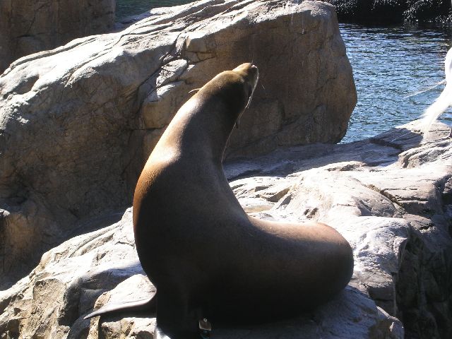 PICT0074.JPG