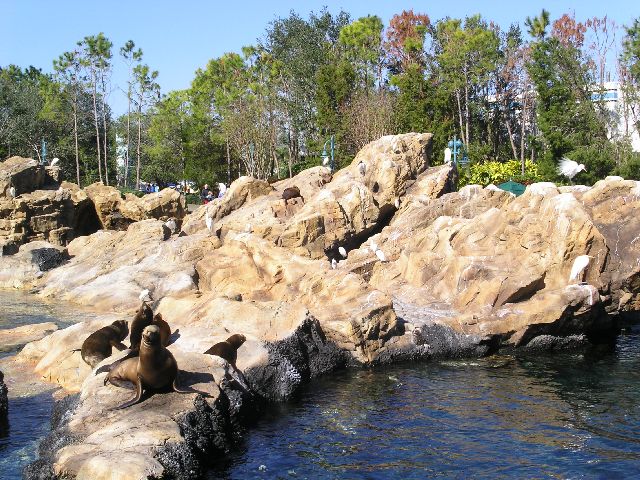 PICT0076.JPG