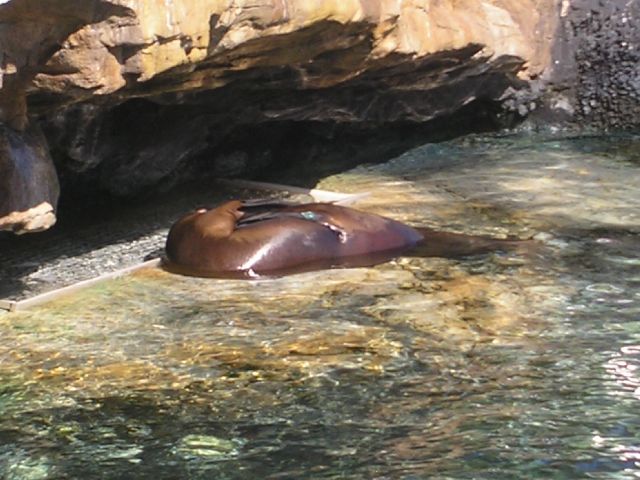 PICT0081.JPG