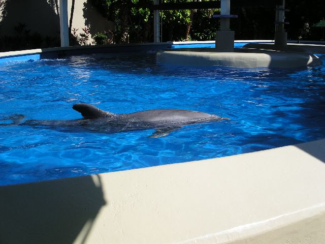 PICT0083.JPG