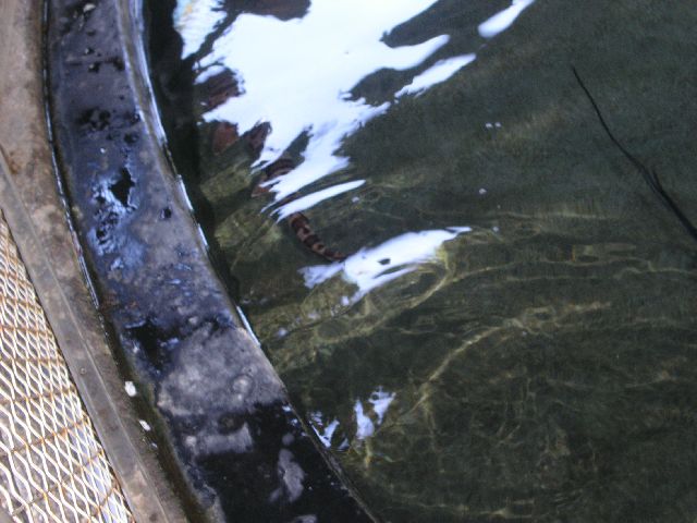 PICT0084.JPG