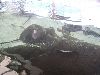 PICT0010.JPG