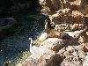PICT0066.JPG