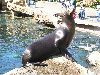 PICT0071.JPG