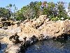 PICT0076.JPG