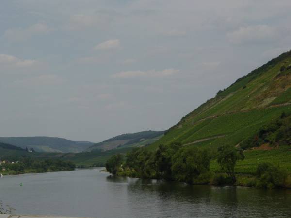 [Bild: mosel08.jpg]